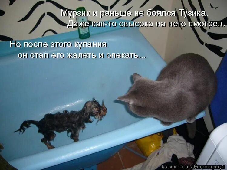 И даже выгнала его он