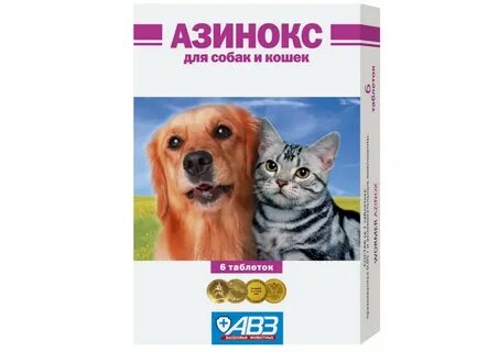 Cats 6 dogs 6