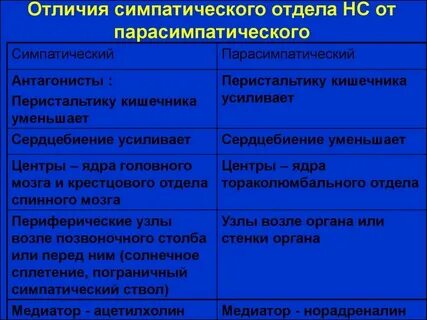 Симпатика действие
