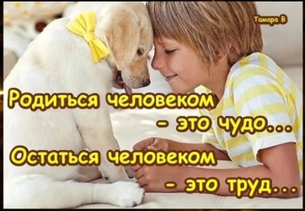 Родиться человеком это чудо остаться. Родиться человеком это чудо остаться человеком это труд. Оставаться человеком в любой ситуации цитаты. При любых обстоятельствах оставаться человеком. Оставайся человеком видео