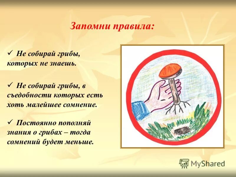 Что значит собран