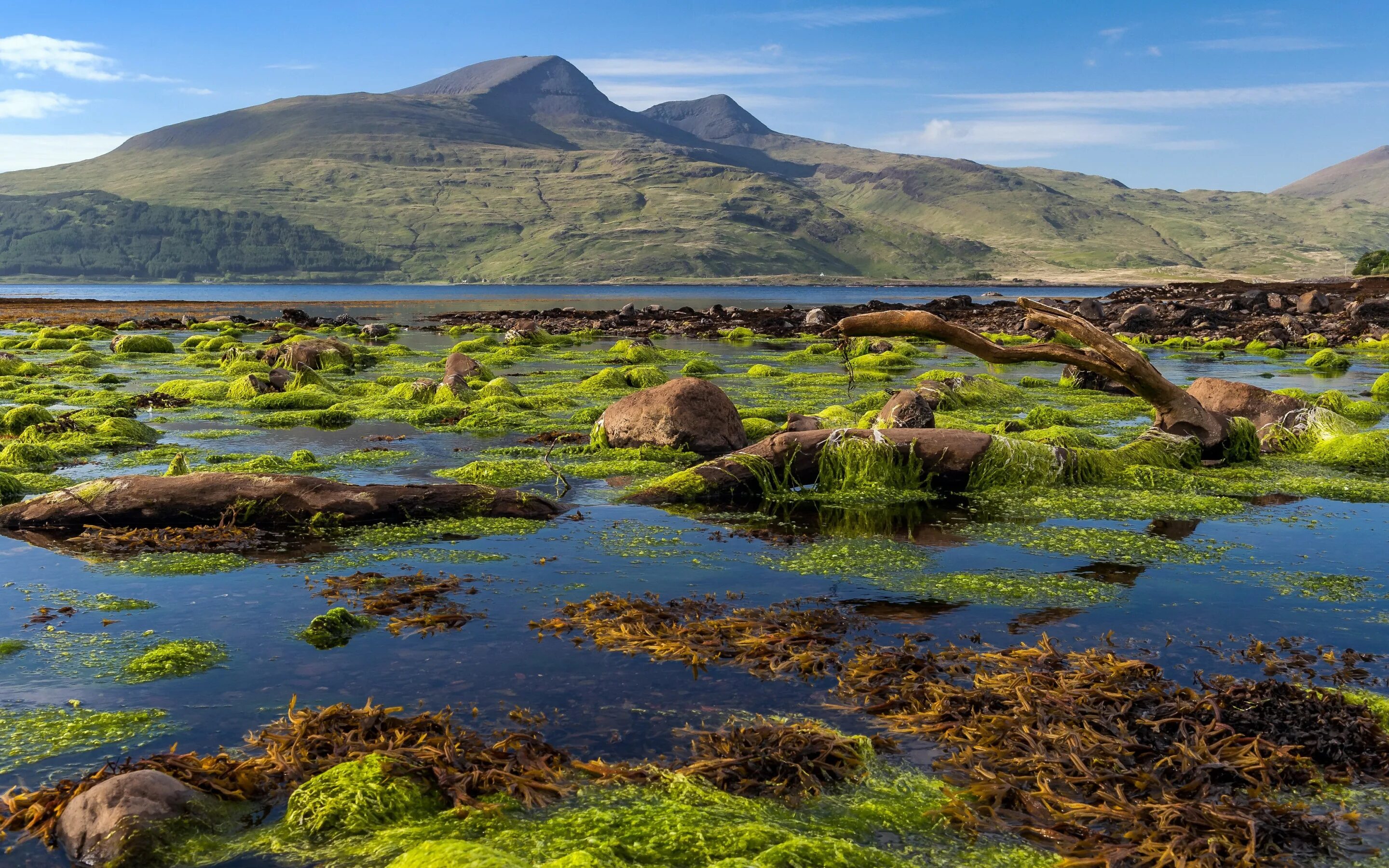 Остров Mull Шотландия. Шотландия мыс Хайлендс. Quiraing Valley, Skye Island, Шотландия. Северная Шотландия. Scotland nature reserves