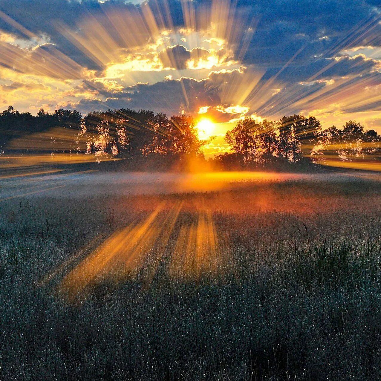 Битое солнце. Осторожно солнце. Красивое стекло. Осколки стекла. Встреча рассвета.