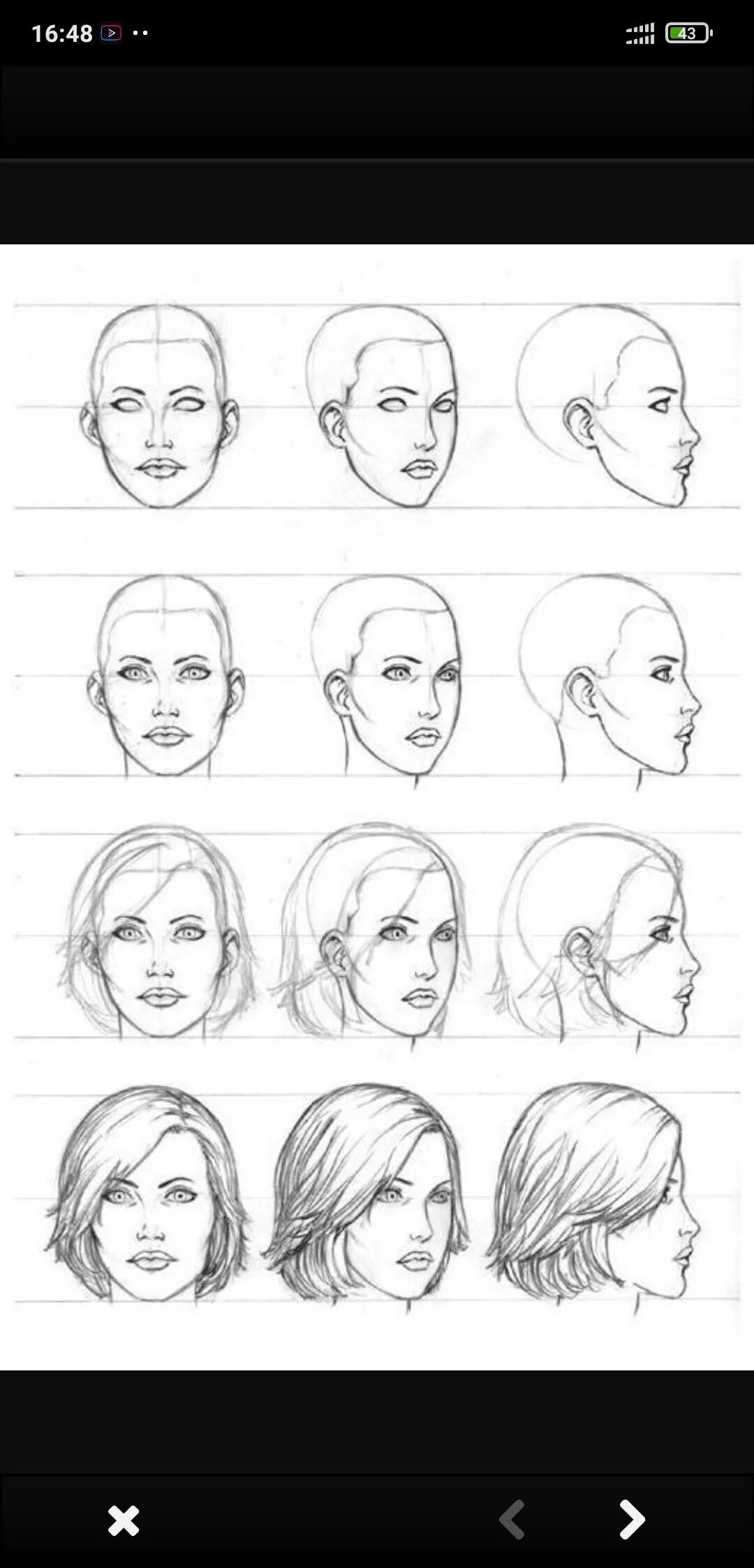 Пропорции портрета человека профиль. Начав профиль. Наброски портретов карандашом. Начав профиль. Пропорции лица человека фас профиль.