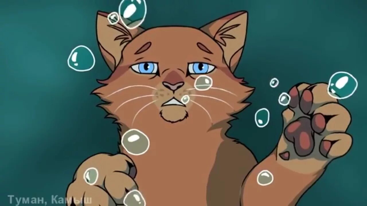 Кошка тонет