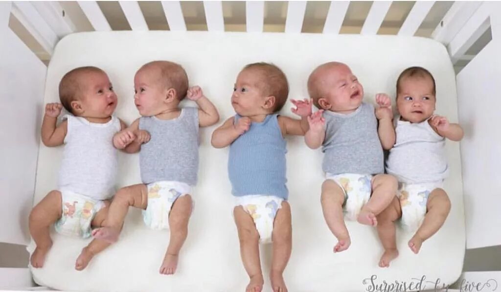 Семь близнецы. Близнецы тройняшки. Двойняшки мальчик и девочка. Надя сулейманова. Близнецы четверняшки пятерняшки.
