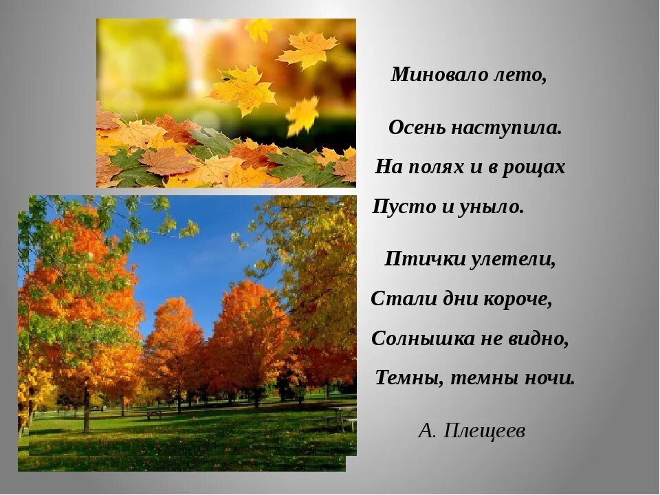 Плещеев миновало лето осень наступила. Плещеев миновало лето стихотворение. Миновало лето осень наступила на полях и в рощах. День настал стих