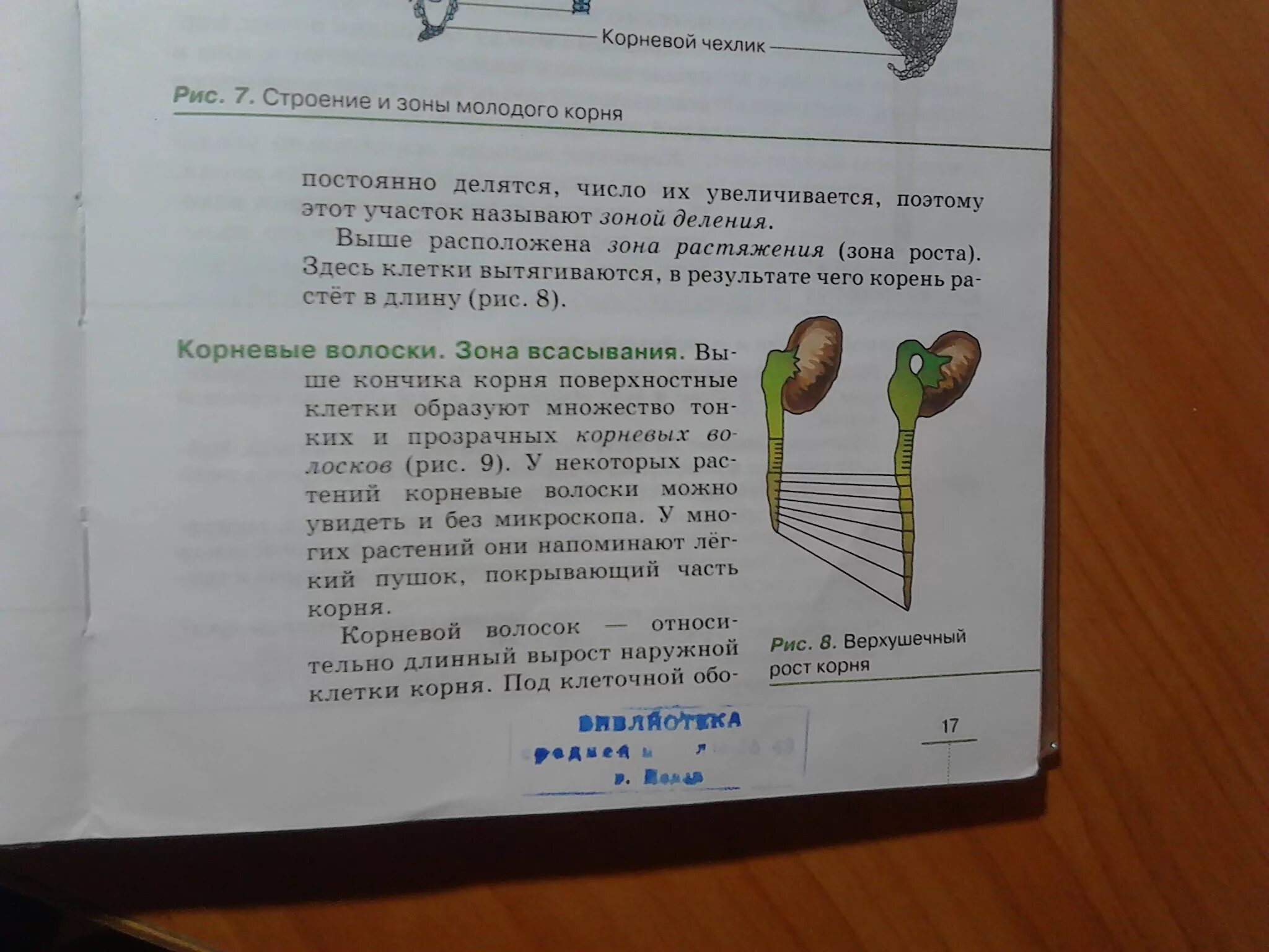 Биология 5 краткое содержание. Биология 6 класс краткий пересказ. Биология 6 класс параграф 3.