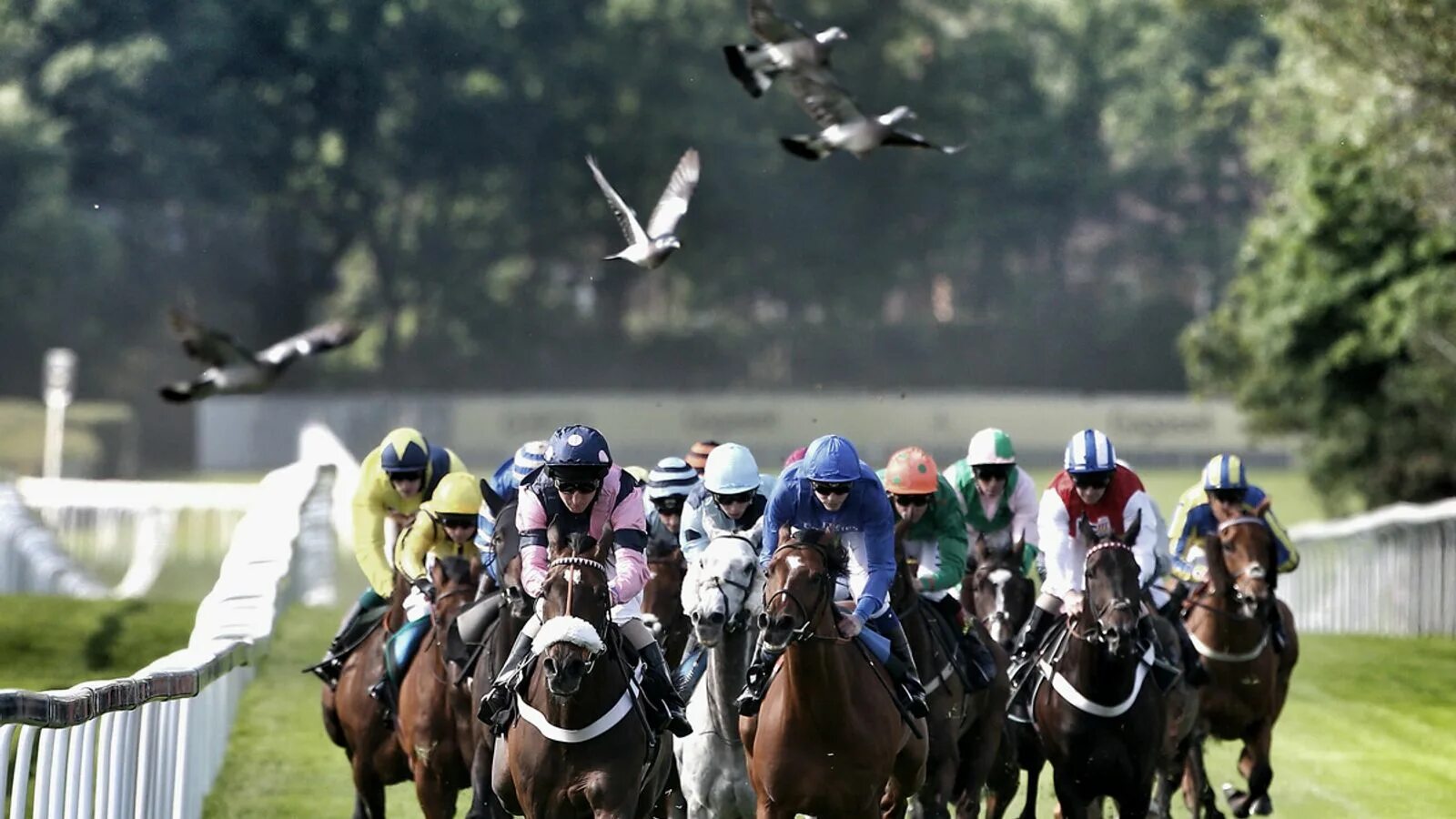 Королевский ипподром в лондоне. Ascot скачки. Royal ascot race horse- racing. Royal ascot race horse- racing. Роял аскот скачки.
