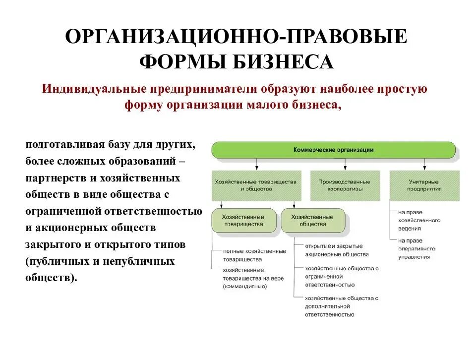 Организационно правовая форма ведения бизнеса