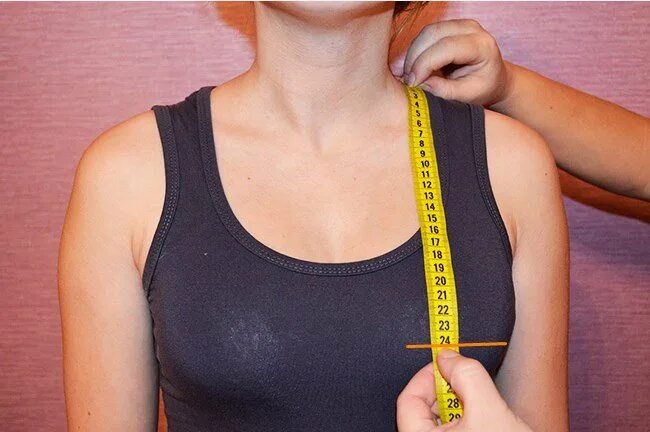 измерение груди. измерить высоту фото. как измерить высоту школы. полуобхват груди1. высота груди.