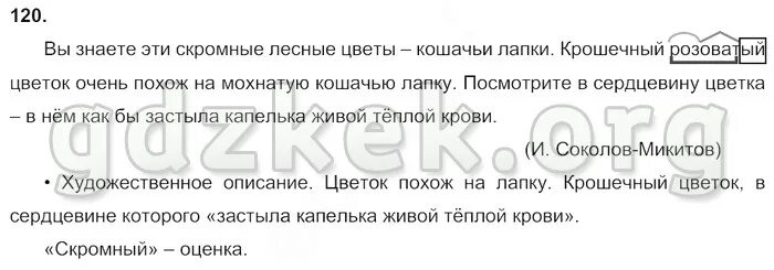 домашнее задание по русскому упражнение 213. вы знаете эти скромные лесные цветы кошачьи. упражнение 120 русский язык 3 класс 2. упражнение 120. изложение 3 класс.