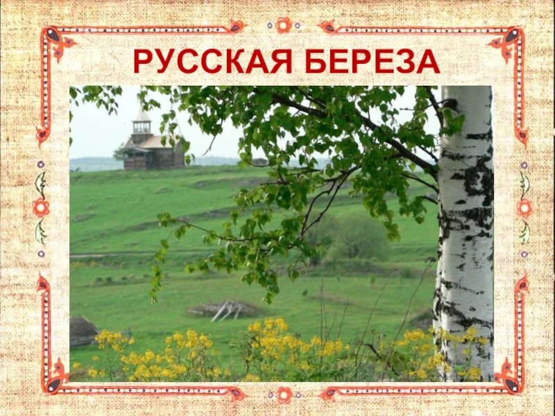 От руси к россии классный час. Родина. Береза символ России. Родина березы. Моя Родина.