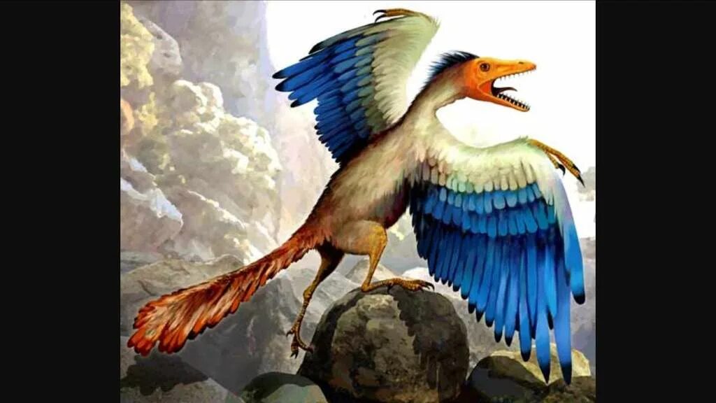 Археоптерикс динозавр. Птица Археоптерикс. Древние птицы Археоптерикс. Предок археоптерикса.