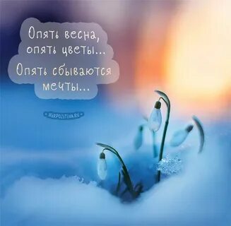 Цитаты про весенние цветы