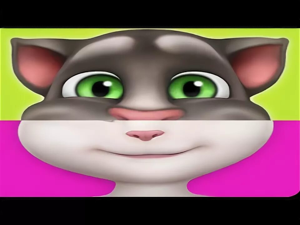 Tom talking Angela. Talking Tom Плюх. Анджела уровень 100. Talking Tom vs talking Angela. Максимальный уровень в томе