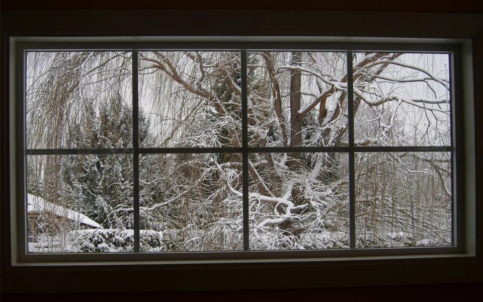 Window in time