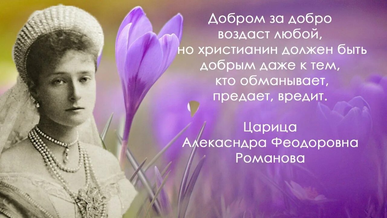 Царица любовь текст
