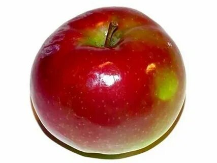 Apple real