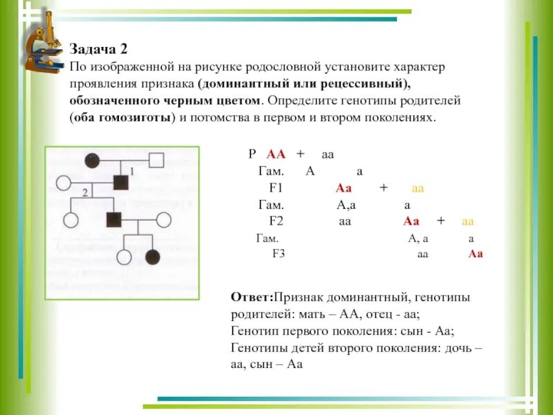 Задачи с доминантными и рецессивными признаками решение. Решение генетических задач и составление родословных. Задачи по генетике доминантные и рецессивные признаки. Задачи по генетике виде схемы. Схема решения генетических задач по биологии.