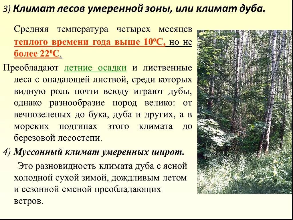 Осадки хвойных лесов. Осадки в лиственных лесах. Климат лиственных лесов. Климат Лесной зоны. Климатические условия леса.