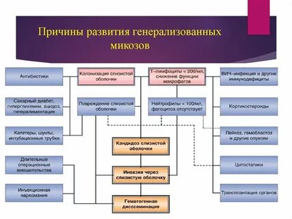 Причина 46 1 3