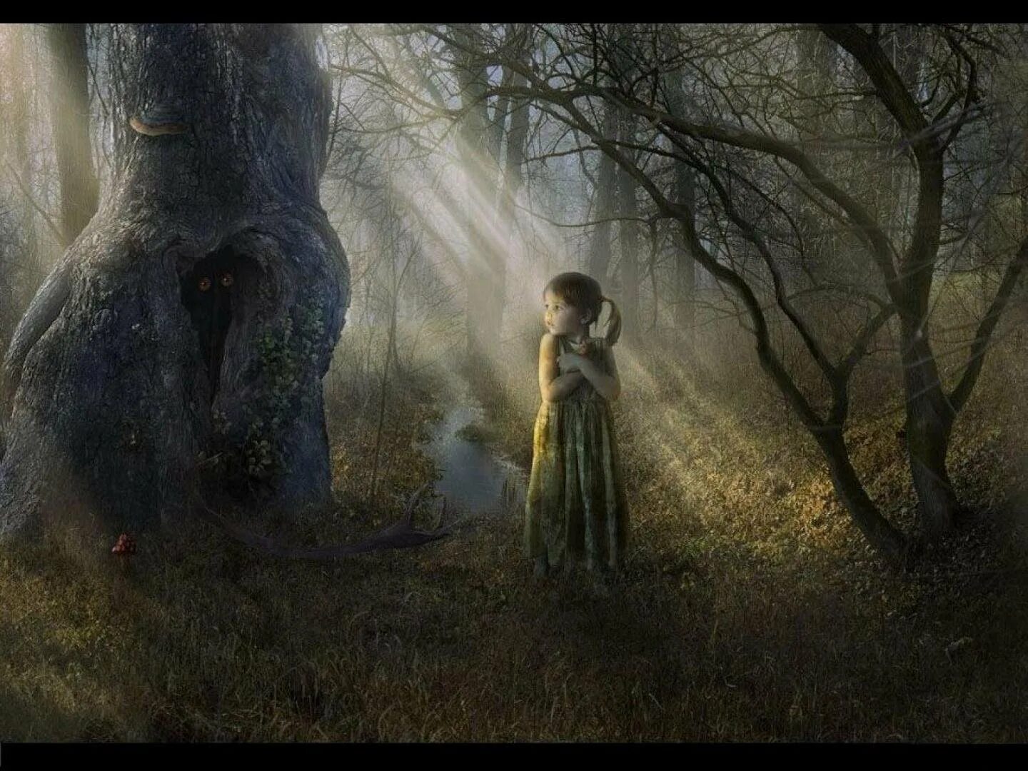 Девочка в лесу. Девочка в темном лесу. Девочка в дремучем лесу. Девушка в сказочном лесу. Заколдованные дети