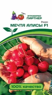 Редис мечта