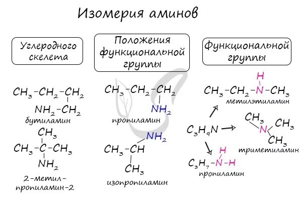 Амины изомерия