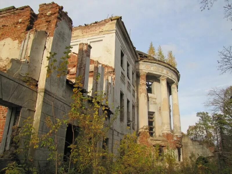 Бывшая усадьба голицыных. Усадьба Прозоровских-Голицыных. Зубриловка усадьба Голицыных. Усадьба князей Голицыных Зубриловка. Усадьба Голицыных-Прозоровских в с Зубриловка.