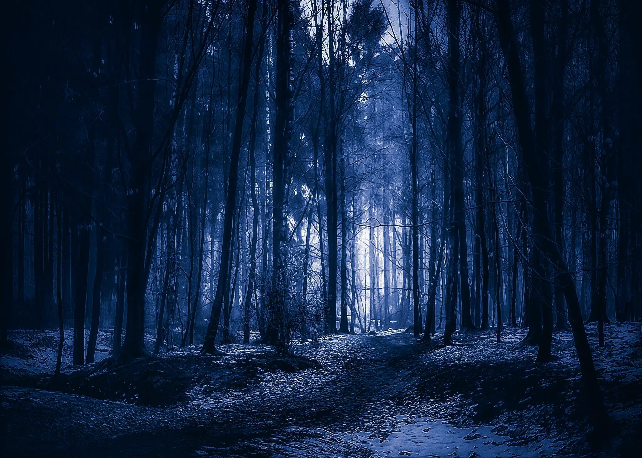 Ночное звездное небо. Небо ночью. Ночь луна. Синяя ночь. Ночной лес.