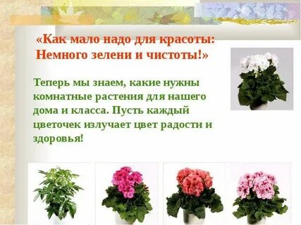 Благодарность комнатным растениям