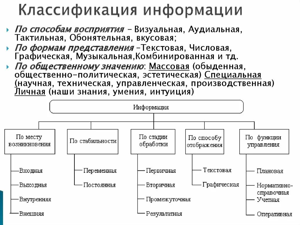 Научная информация и социальная информация. Классификация в информатике. Схема классификации видов информации. Классификация видов информации в информатике. Классификация информации по информатике.