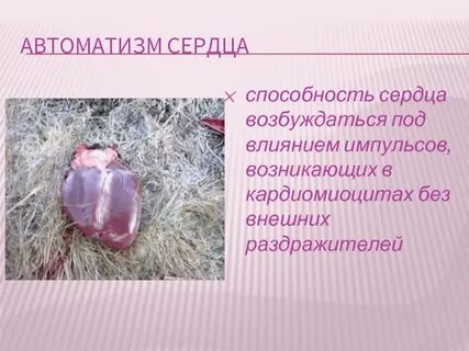 Автоматизм это способность