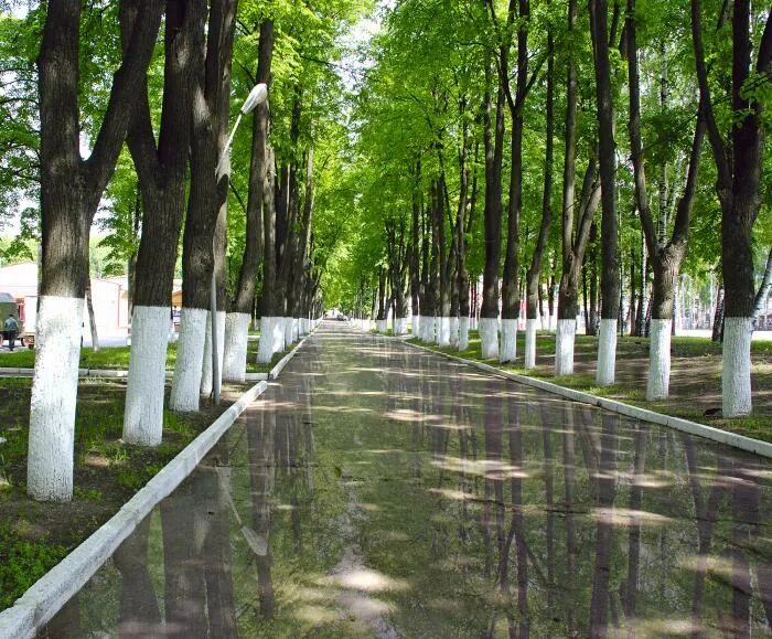 Парк 300-летия санкт-петербурга. По главной аллее. Главная аллея 4. Парки и скверы. Главная аллея 4.