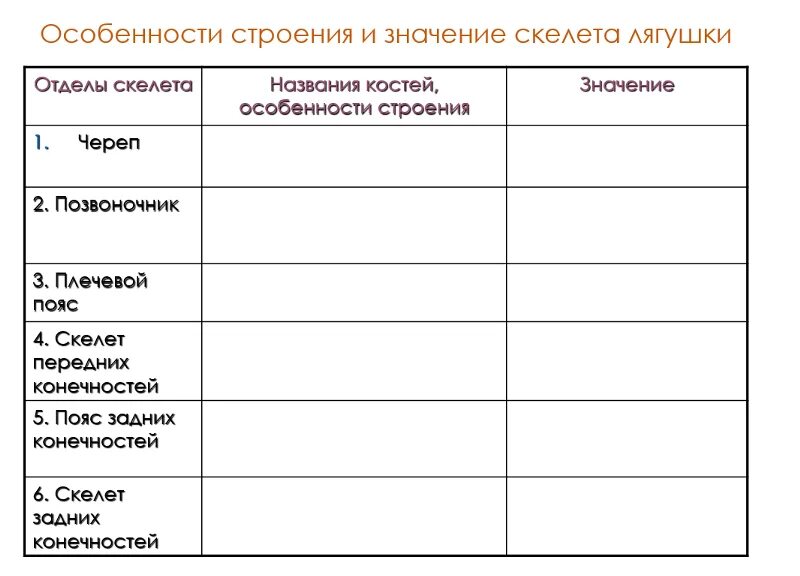 Отделы скелета лягушки таблица. Строение скелета лягушки таблица. Строение скелета лягушки таблица 7 класс. Особенности строения скелета лягушки таблица. Отдел скелета череп особенности строения функции