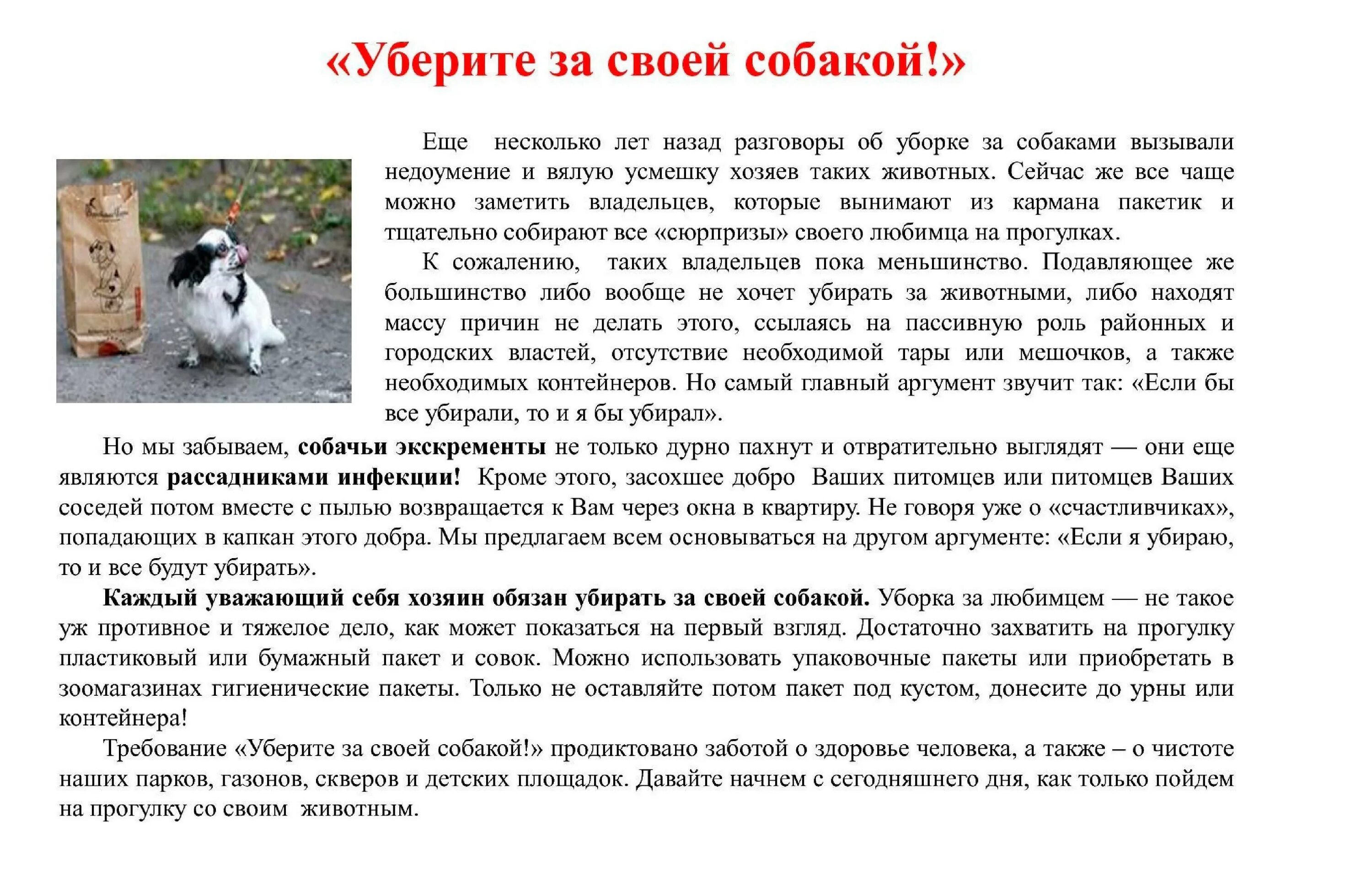 Как убрать за собакой. Памятка для владельцев собак. Убирать за собакой на улице. Табличка о уборке за собаками. Табличка убирать за собакой.