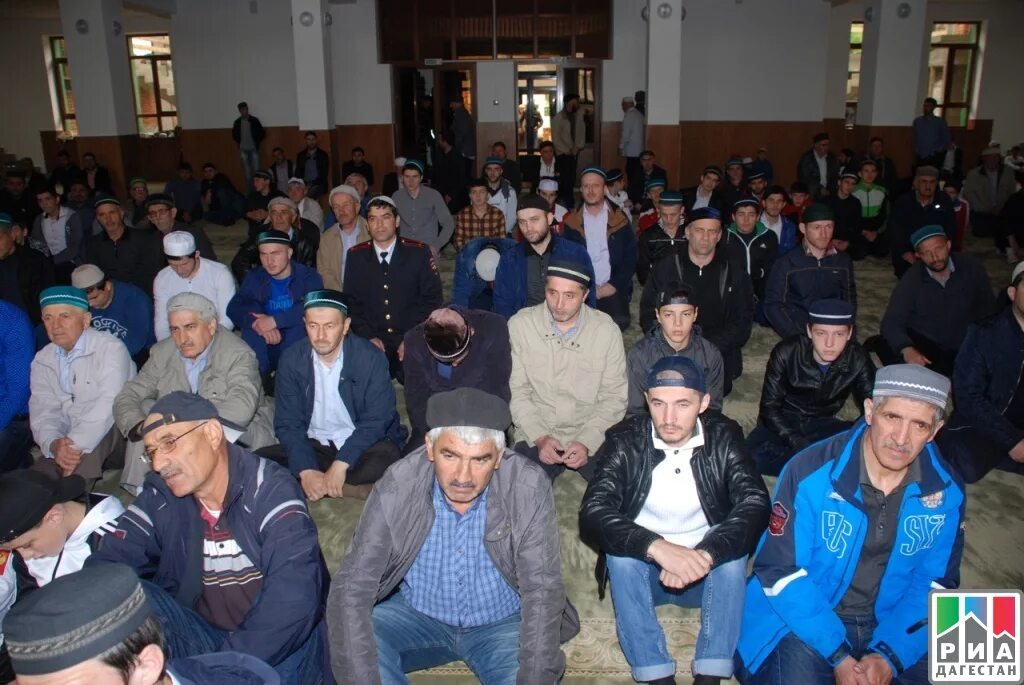 Дубки казбековский. Посёлок городского типа дубки. Дубки казбековский. Дубки казбековский. Дубки казбековский.