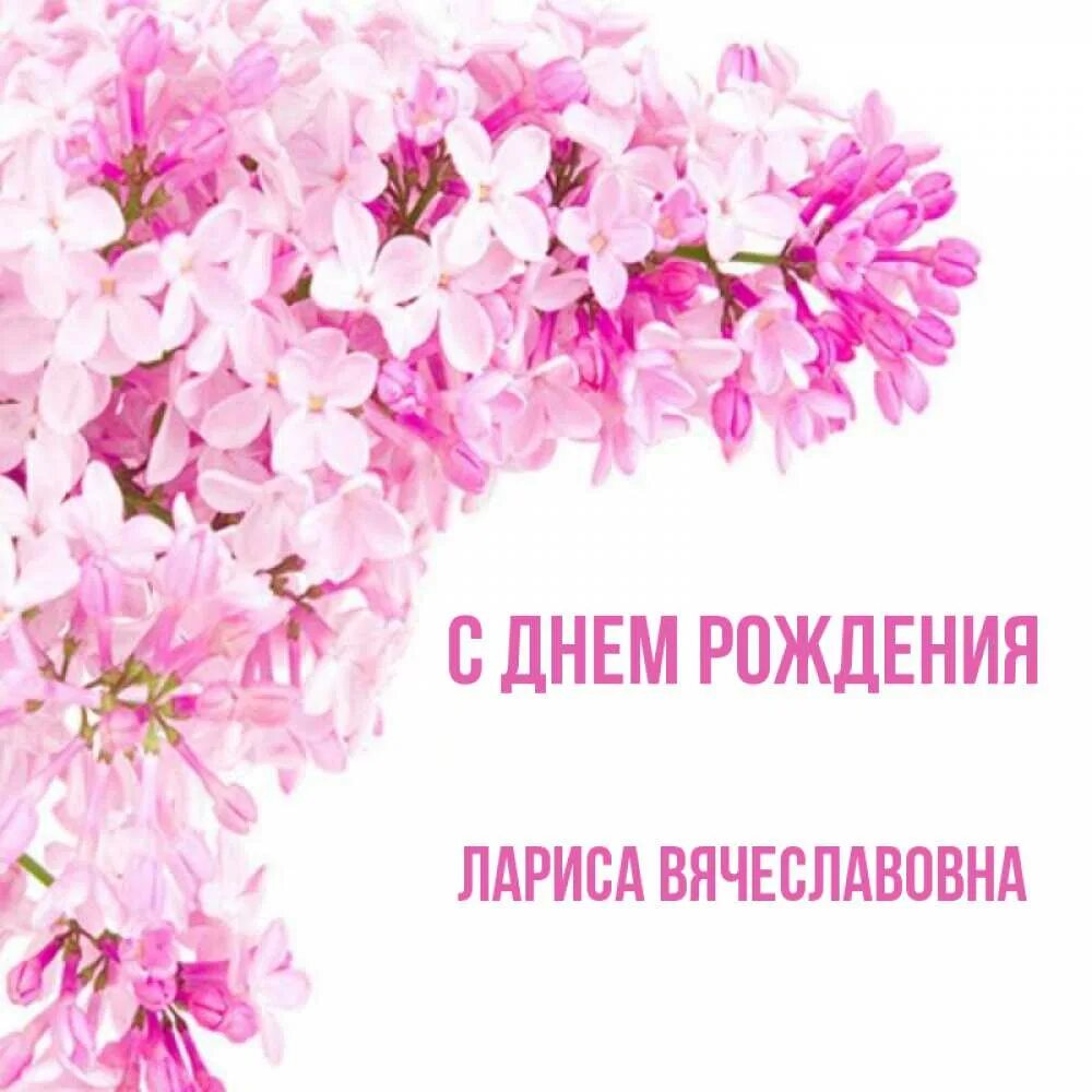 С юбилеем. Песня про ларису с днем рождения. Поздравления с днём рождения ларисе. Поздравления с днём рождения ларисе. Песня про ларису с днем рождения.