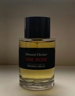 Un rose