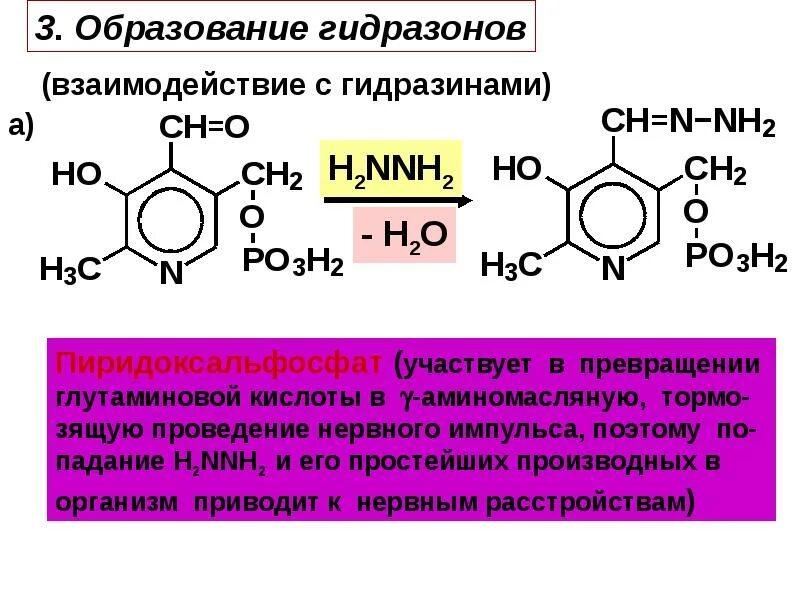 Оксосоединения. Получение пиридоксальфосфата. Получение гидразонов. Свойства пиридоксальфосфата.