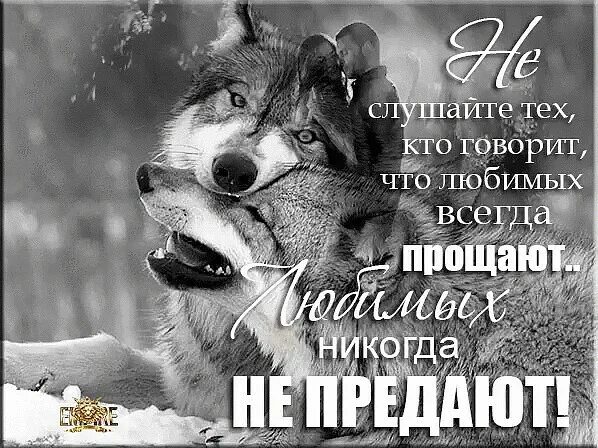 Всегда прощен