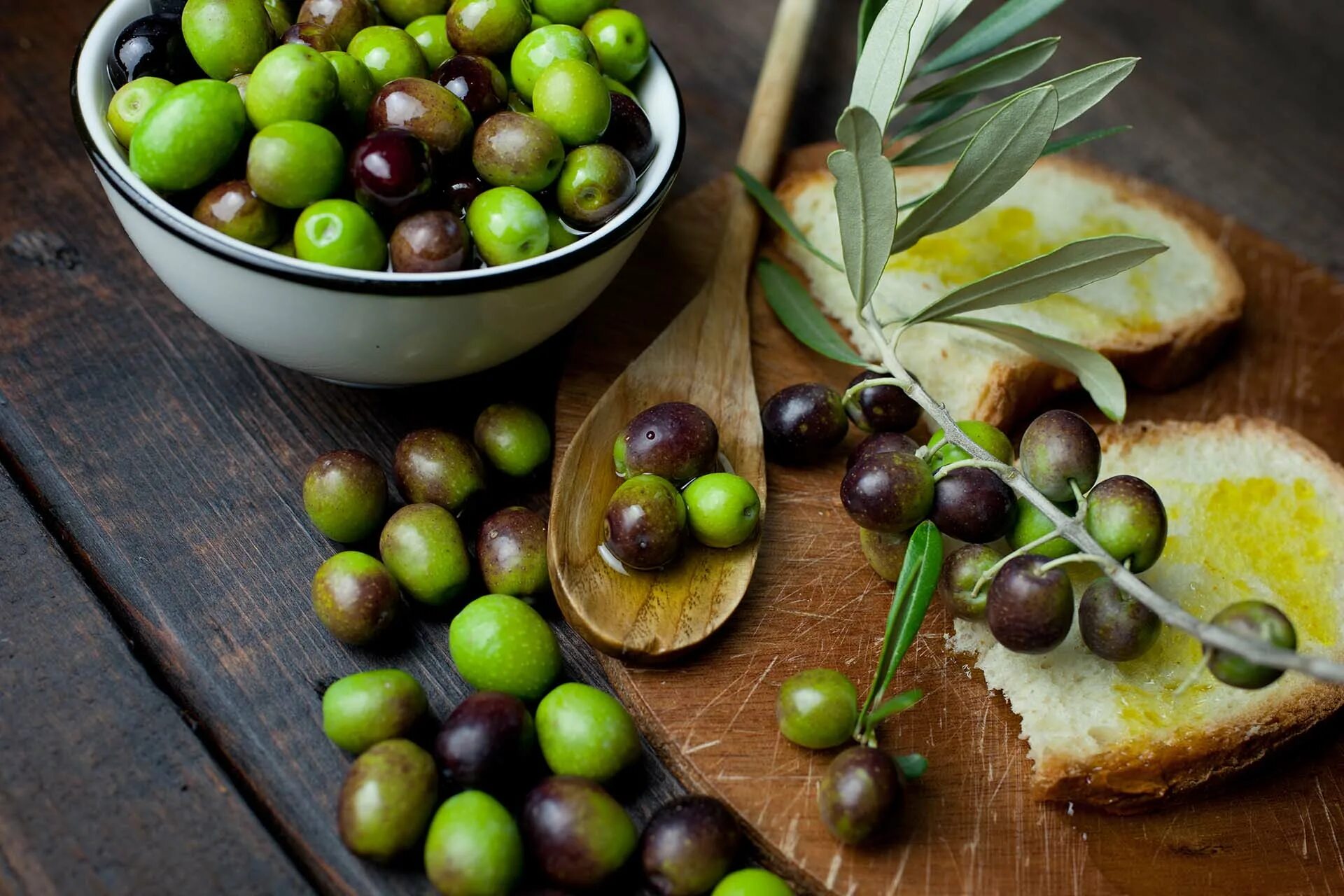 Что такое оливы маслины. Оливки на дереве. Маслина дерево. Маслина, масличное дерево.