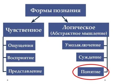 К формам рационального познания относятся суждение