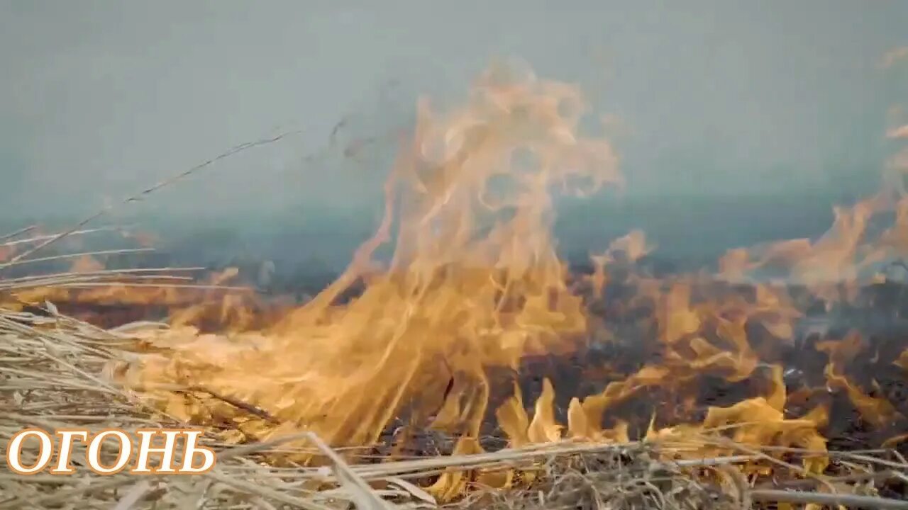 Огонь анимация. Огонь гиф. Живой камин. Видео просто огонь. Ты огонь.