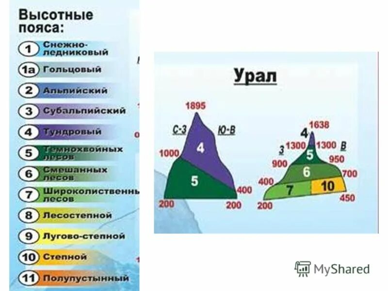 Верхний высотный пояс