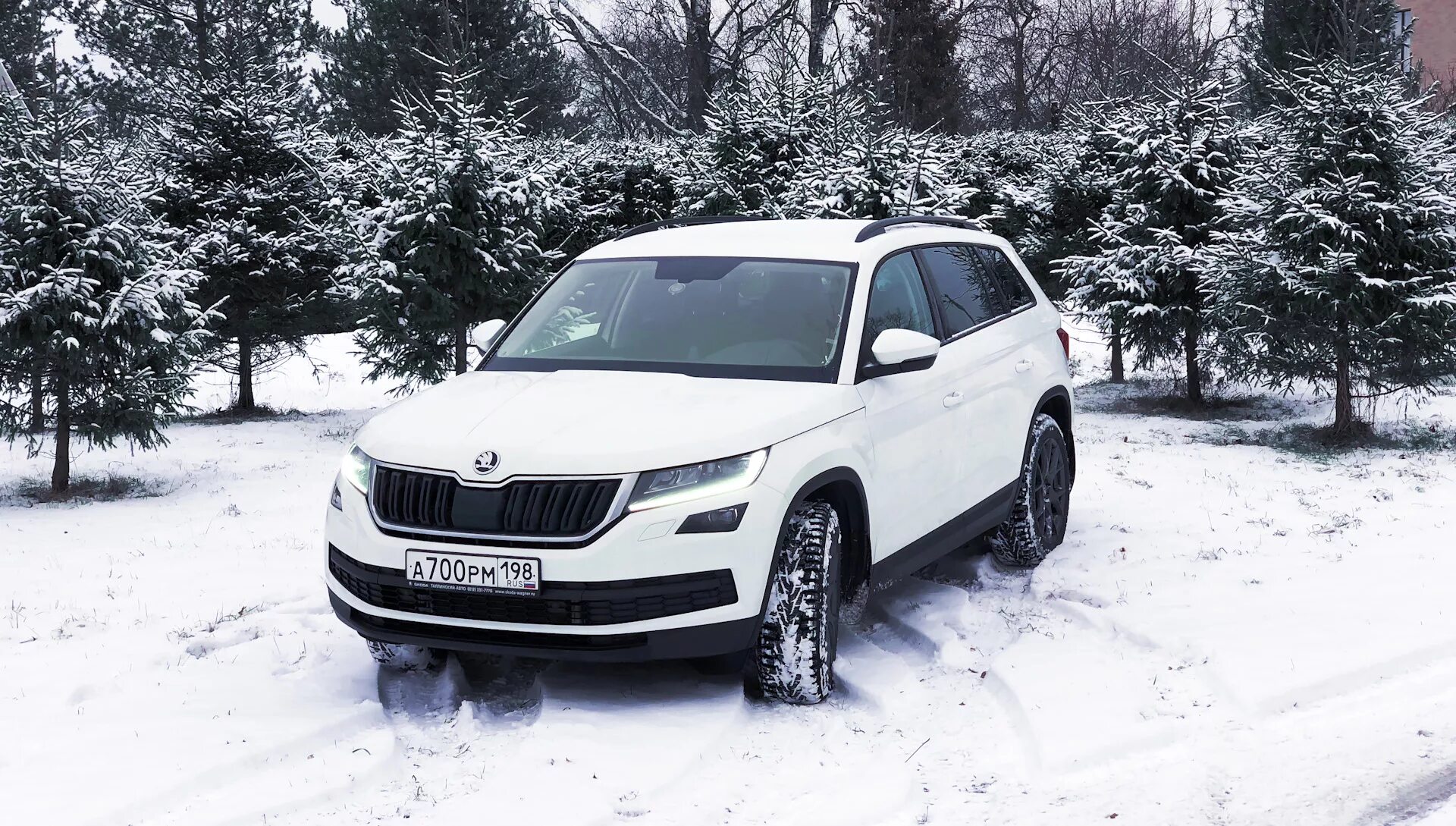 Шкода кодиак какой двигатель. Шкода кодиак белый. skoda kodiaq winter. skoda kodiaq 2 поколения. skoda kodiak 2025.
