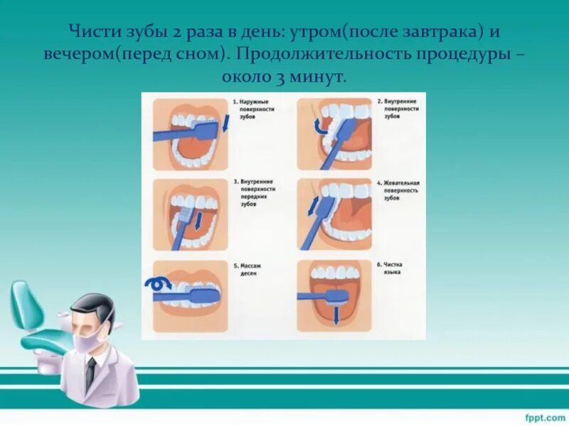 Раз в день утром после. Чистить зубы утром и вечером. Правильная чистка зубов. Как правильно чистить зубы до завтрака или после. Продолжительность чистки зубов.