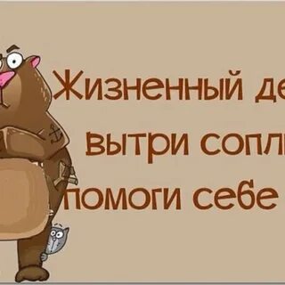 Сказать скажите скажите вытереть