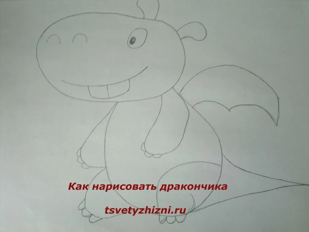 Дракон рисунок для начинающих. Покемон дракон срисовать легко. Дракон рисунок для детей. Дракоша пошагово. Поэтапное рисование дракона для детей.